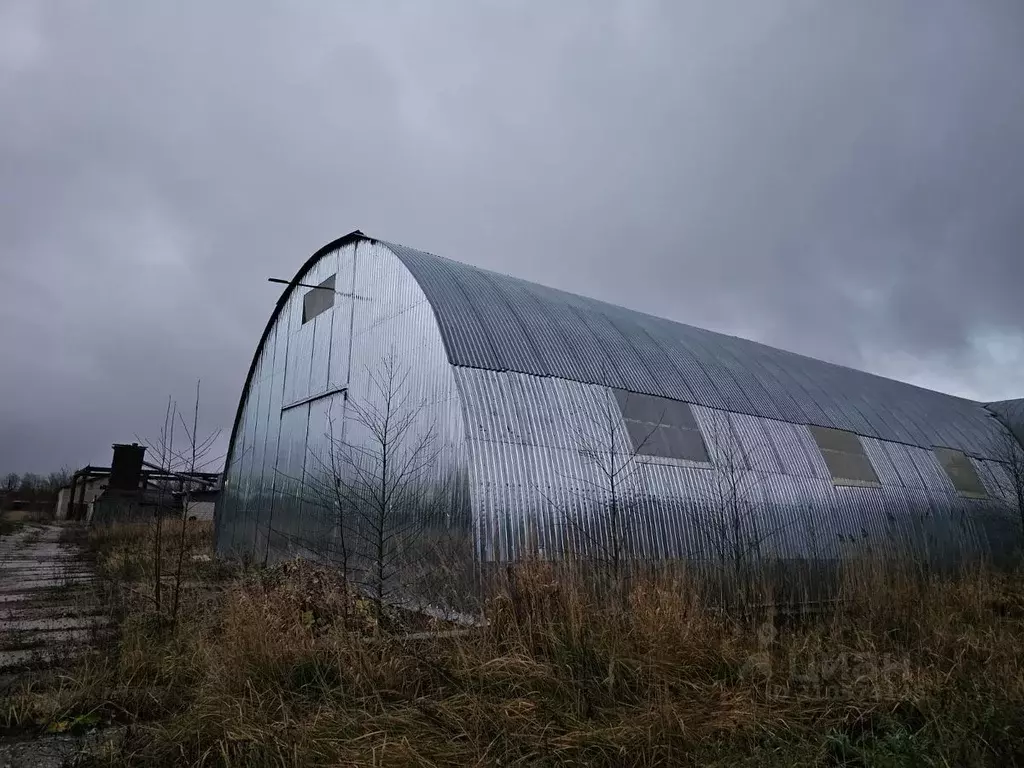 Производственное помещение в Псковская область, Гдов ул. Гавриила ... - Фото 1