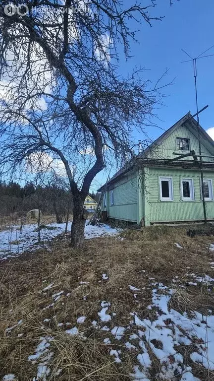 Дом в городской посёлок Назия, Лавская улица, 42 (49 м) - Фото 1