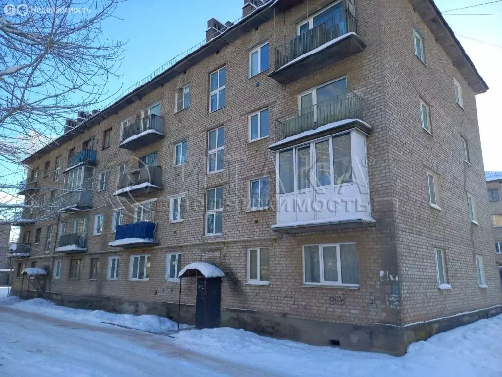 1-комнатная квартира: Пикалёво, Школьная улица, 13 (31.7 м) - Фото 1