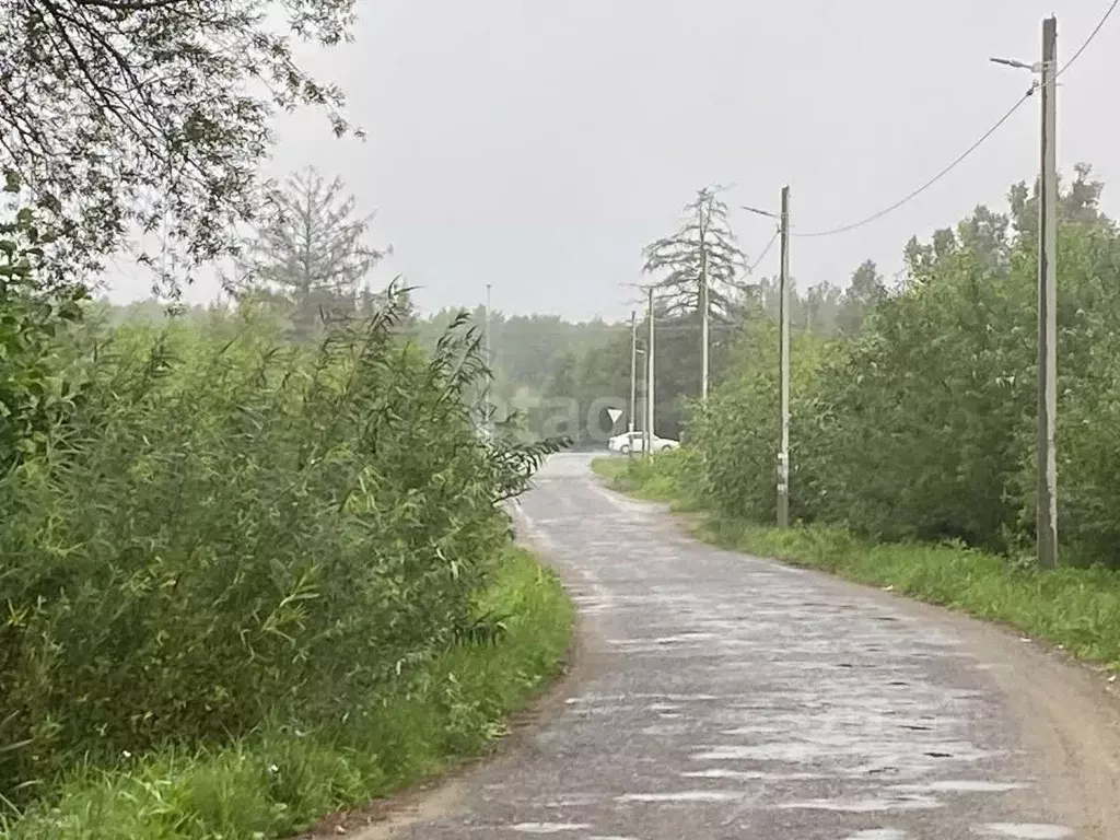 Участок в Калининградская область, Гурьевский муниципальный округ, ... - Фото 0