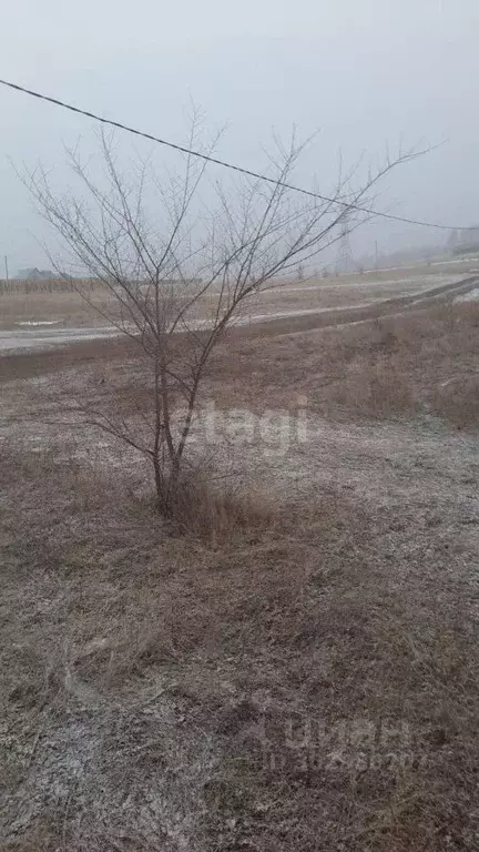 Участок в Забайкальский край, Читинский район, с. Засопка ул. ... - Фото 0