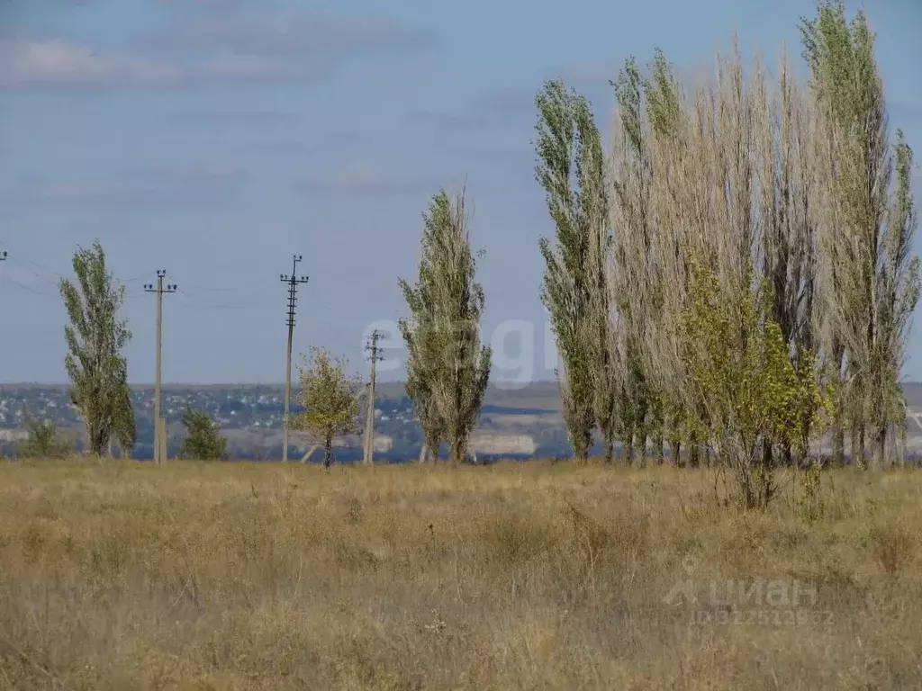 Участок в Волгоградская область, Среднеахтубинский район, ... - Фото 1