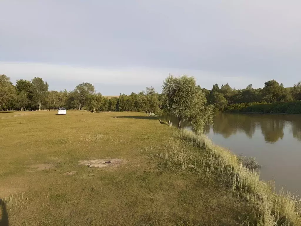 Участок в Алтайский край, Калманский район, с. Усть-Алейка  (30.0 ... - Фото 1