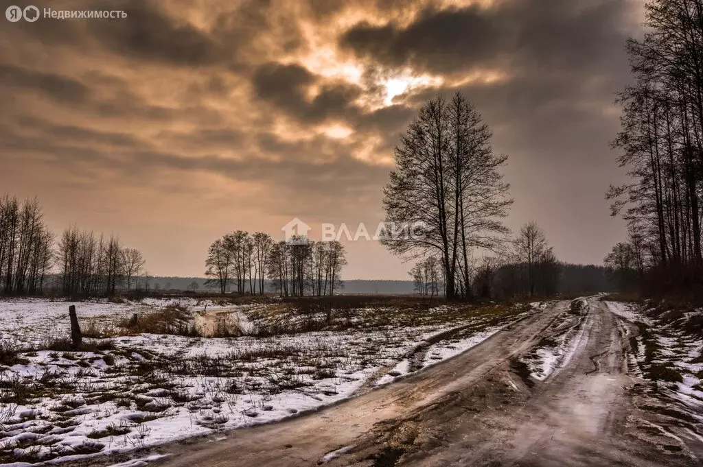 Участок в Калуга, улица Чехова, 1 (100 м) - Фото 0