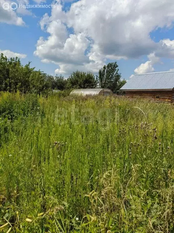Участок в Ялуторовск, СТ Садовод, Садовая улица (6.3 м) - Фото 2