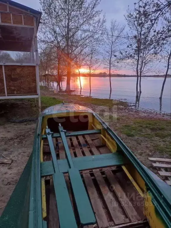 Участок в Ростовская область, Багаевский район, Манычское с/пос, ... - Фото 1