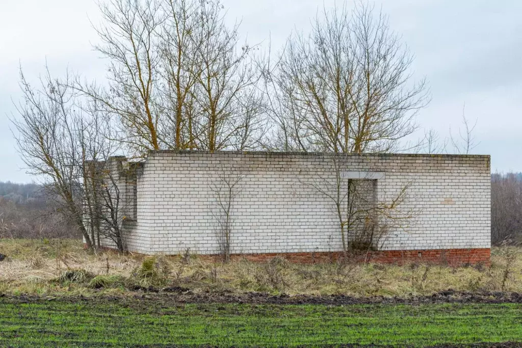 Помещение свободного назначения в Орловская область, Кромской район, ... - Фото 1