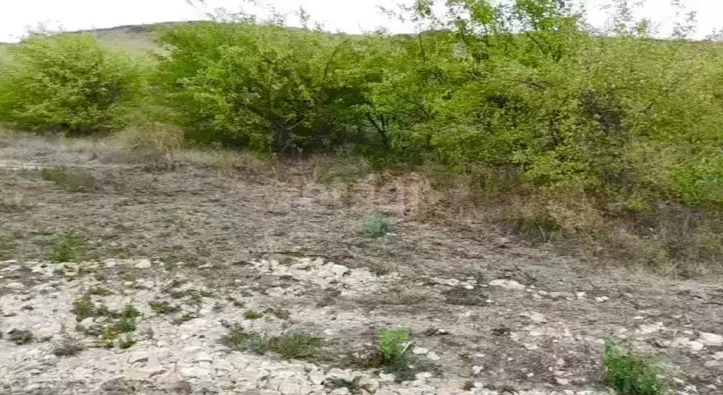 Участок в Ставропольский край, Шпаковский муниципальный округ, Садовый ... - Фото 1