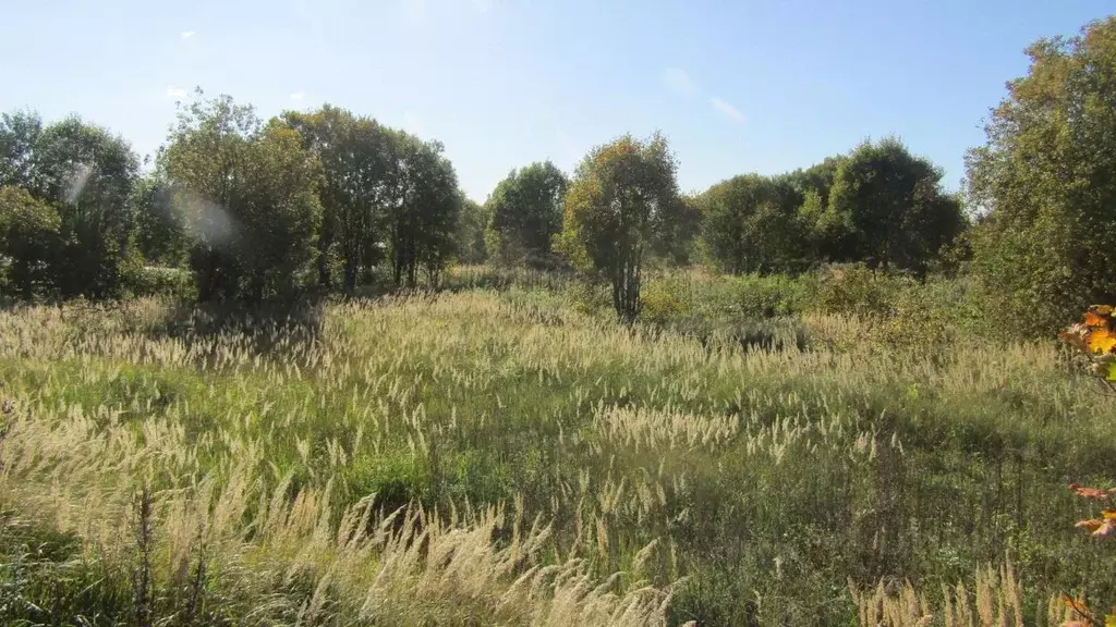 Участок в Московская область, Рузский муниципальный округ, с. ... - Фото 1