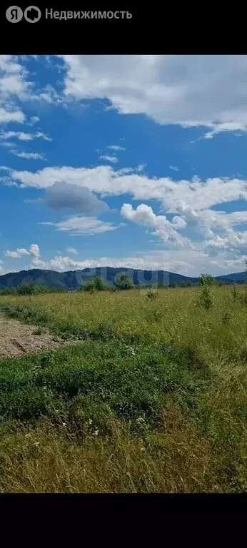 Участок в Алтайский район, Айский сельсовет, село Ая (19 м) - Фото 1