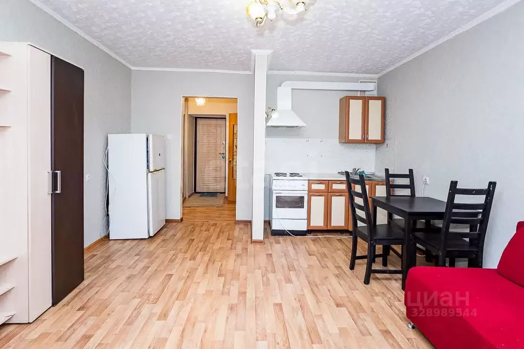 Студия Амурская область, Благовещенск Зейская ул., 285 (26.6 м) - Фото 1