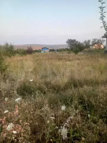 Участок 6 га (СНТ, ДНП) - Фото 0