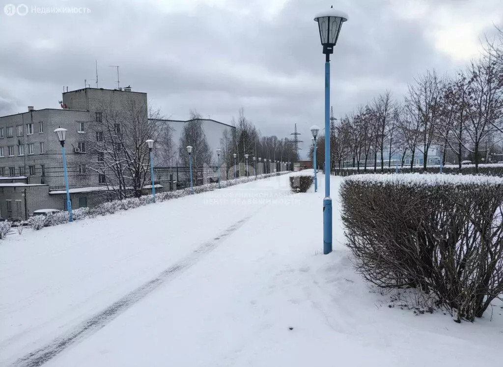 3-комнатная квартира: Кондопога, Промышленная улица, 1 (66.8 м) - Фото 2