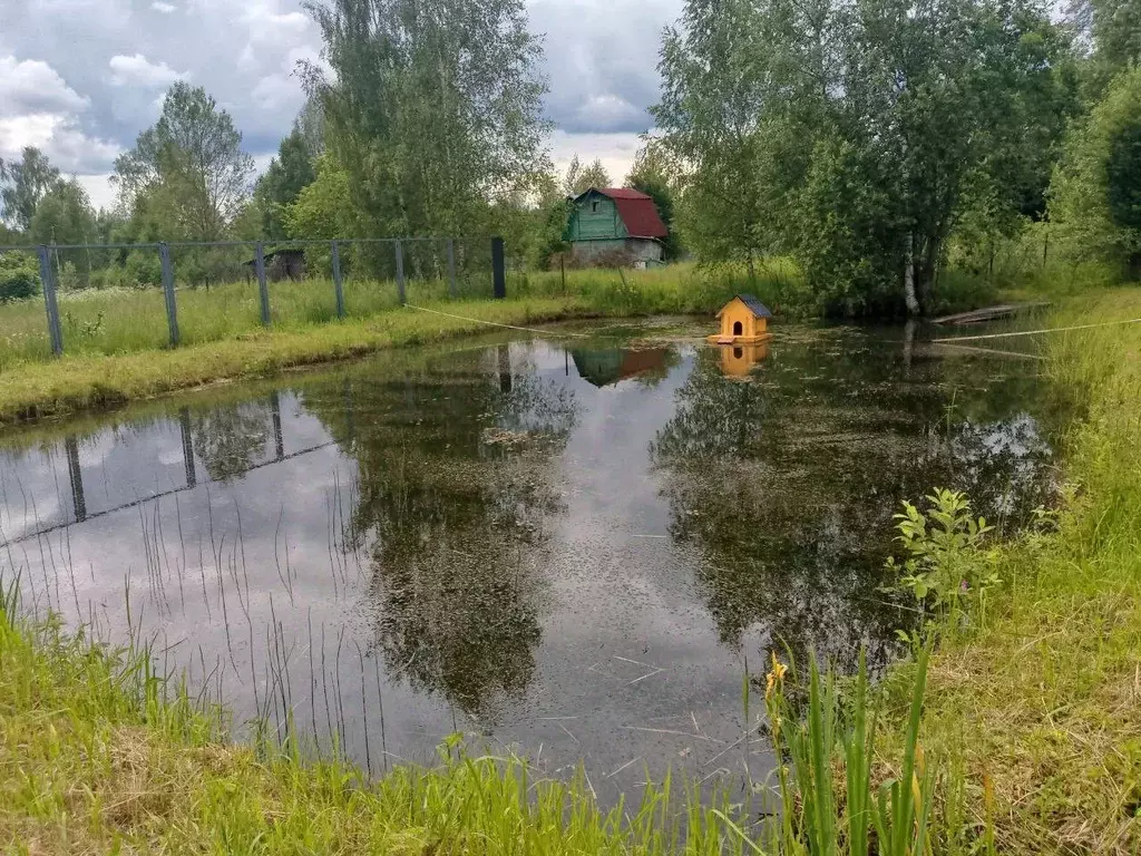 Участок в Владимирская область, Александровский район, Следневское ... - Фото 1