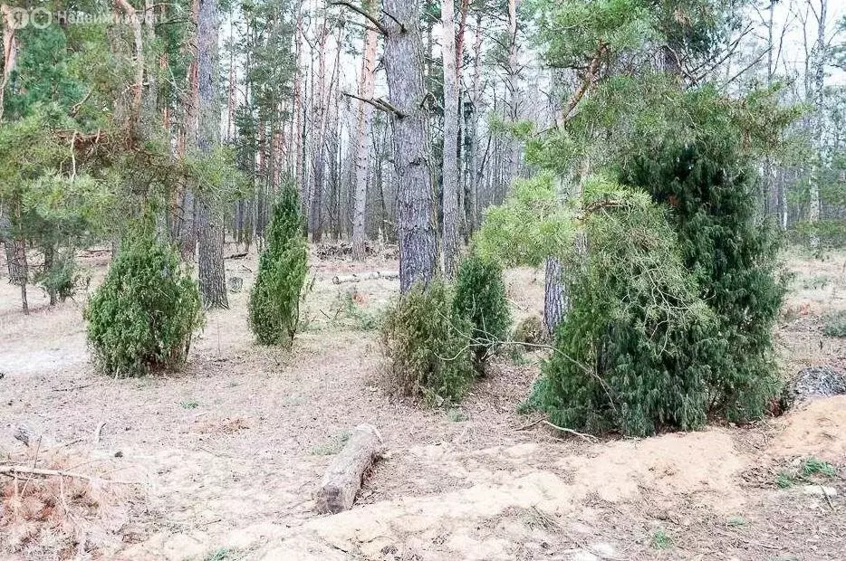 Участок в Московская область, городской округ Ступино, деревня ... - Фото 1