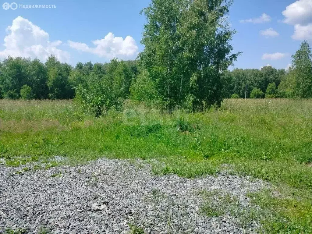Участок в Искитимский район, село Морозово (9 м) - Фото 0