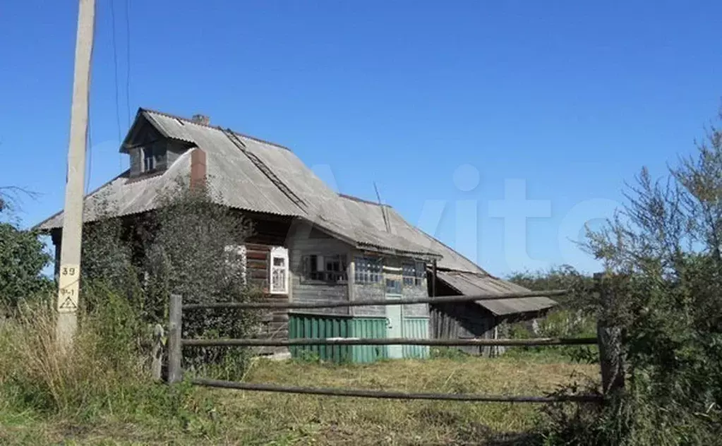 Деревня брейтовского района фото