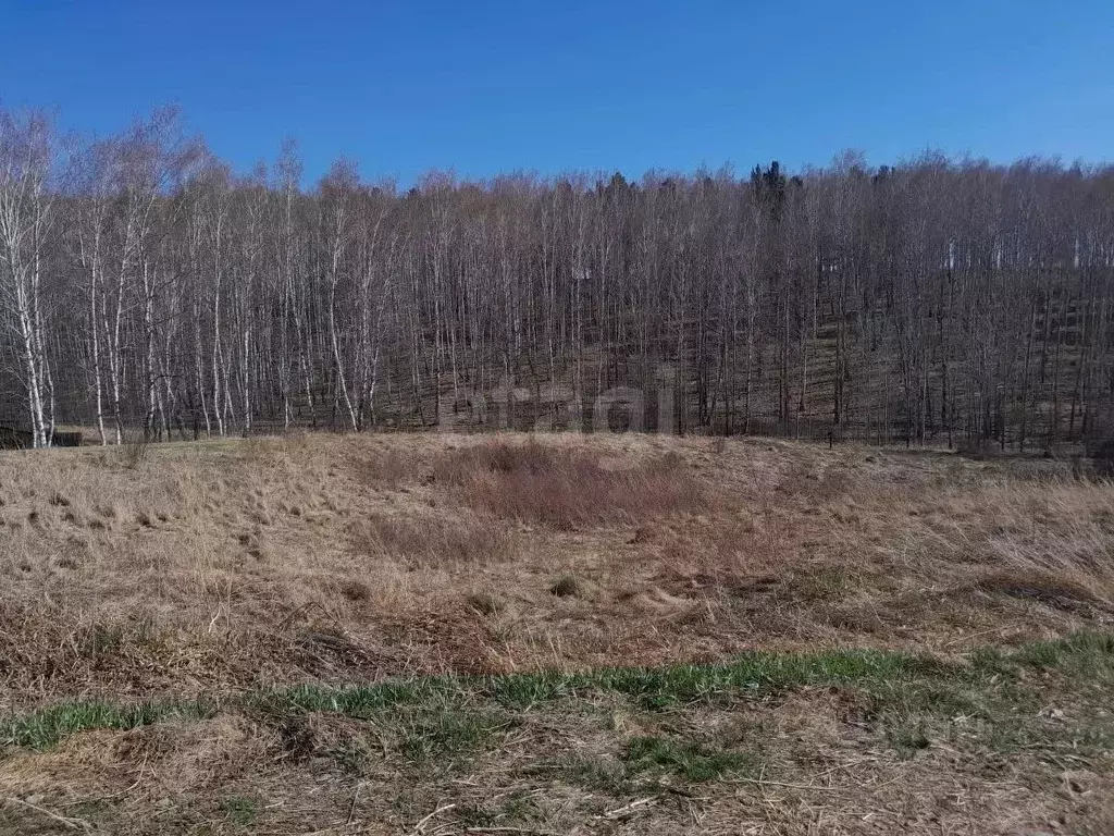 Участок в Красноярский край, Емельяново пгт ул. Куропаткина, 69 (10.8 ... - Фото 2