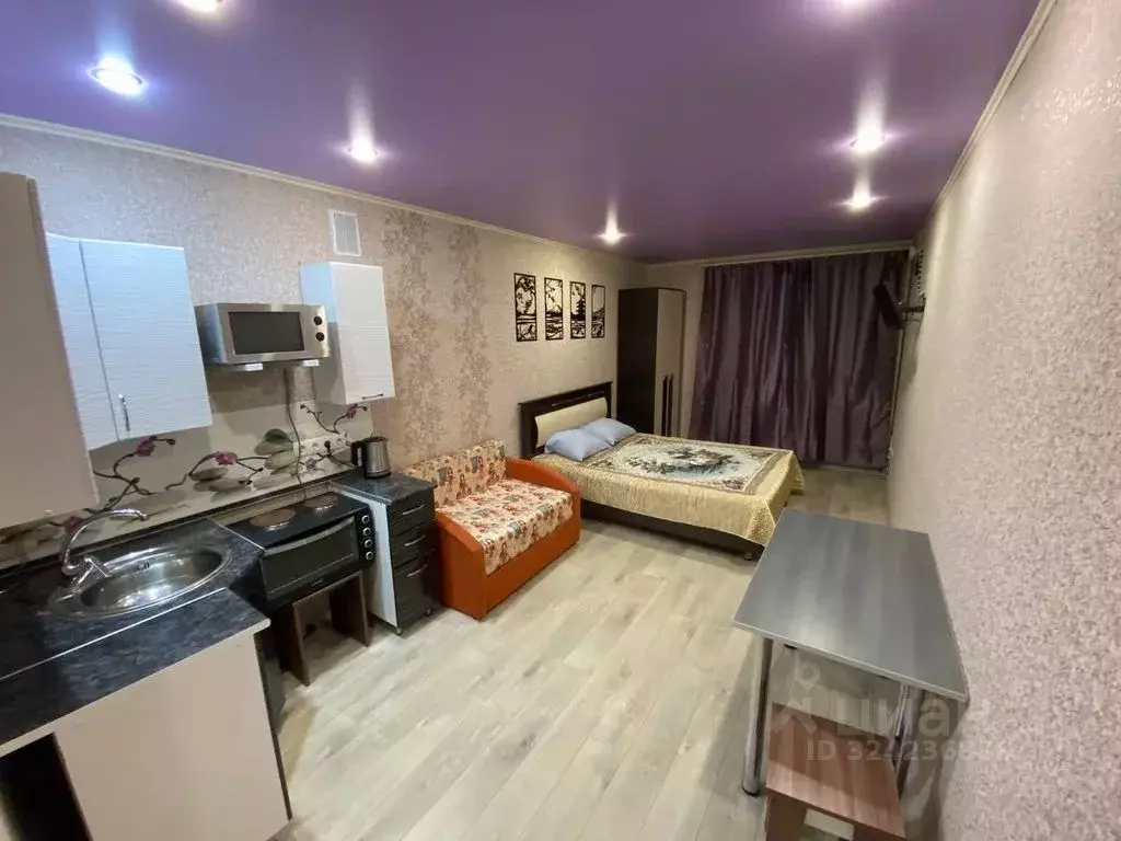 Студия Саратовская область, Саратов Огородная ул., 157 (27.0 м) - Фото 0