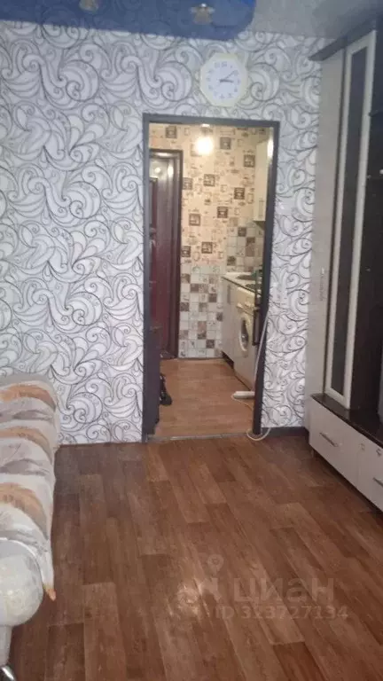 1-к кв. Алтайский край, Барнаул ул. Эмилии Алексеевой, 60 (21.0 м) - Фото 2