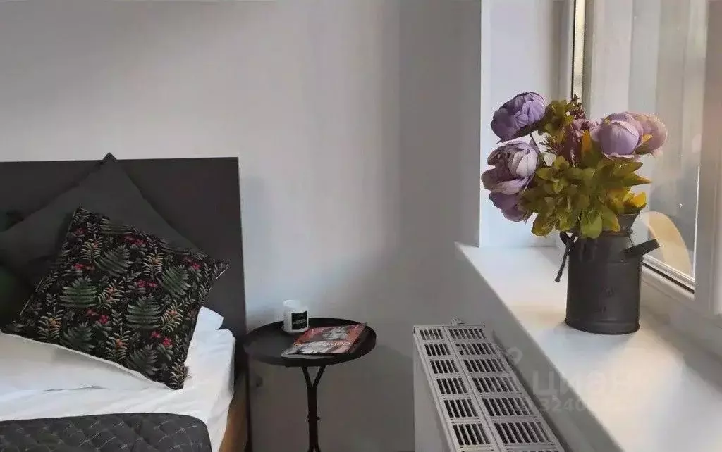 1-к кв. Санкт-Петербург аллея Арцеуловская, 19 (27.0 м) - Фото 2