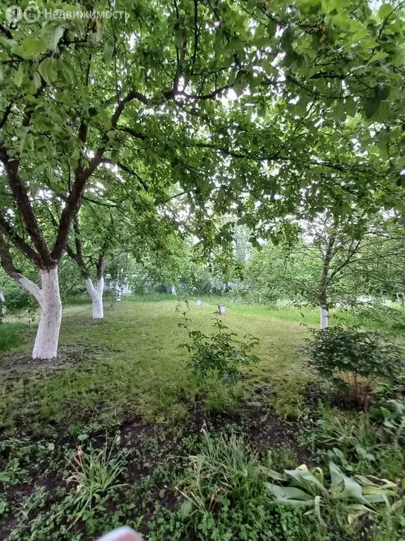 Дом в село Бокино, микрорайон Новый, Школьная улица (300 м) - Фото 0