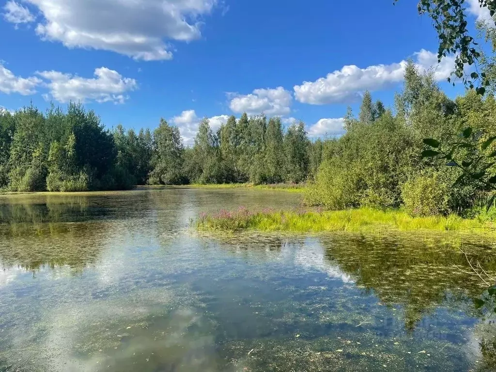 Участок в Московская область, Раменский муниципальный округ, Фенино ... - Фото 1