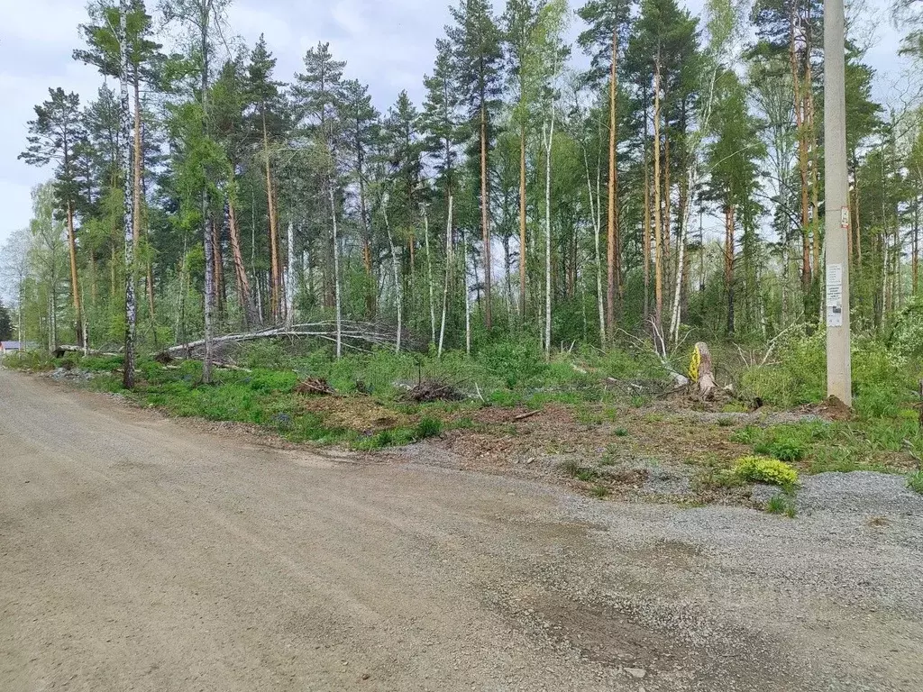 Участок в Свердловская область, Полевской городской округ, с. ... - Фото 2