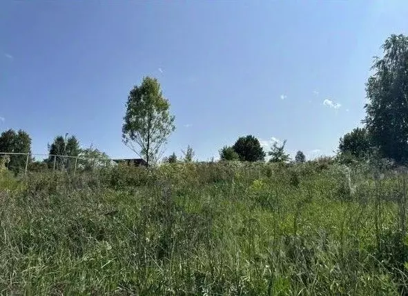 Участок в Московская область, Серпухов городской округ, д. Тульчино  ... - Фото 1