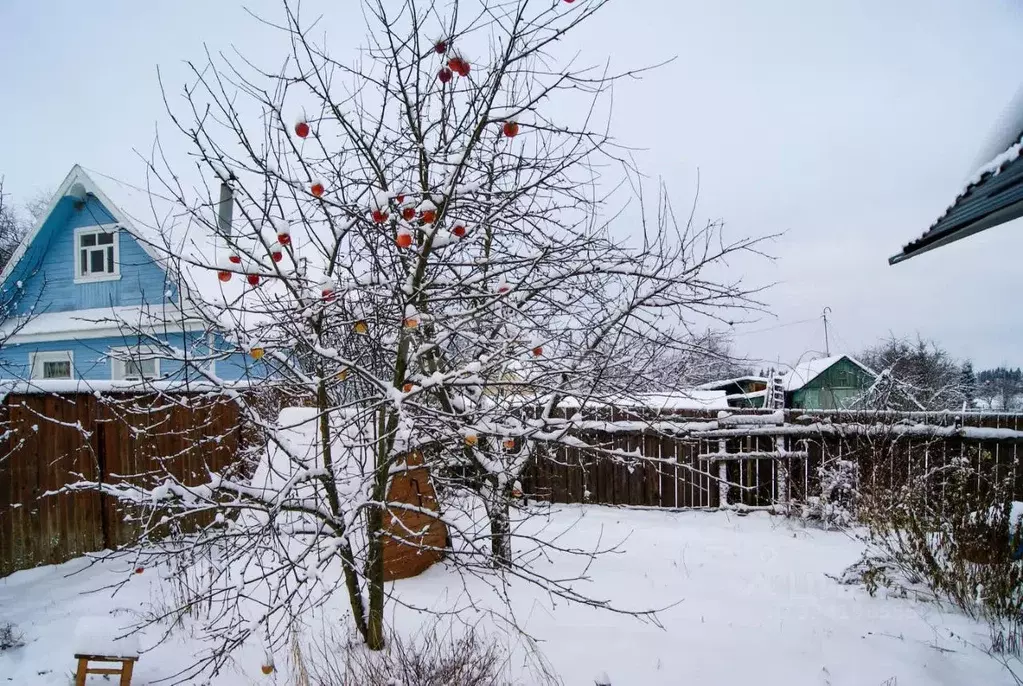 Дом в Вологодская область, д. Фофанцево, Муравьево мкр 19 (70 м) - Фото 1