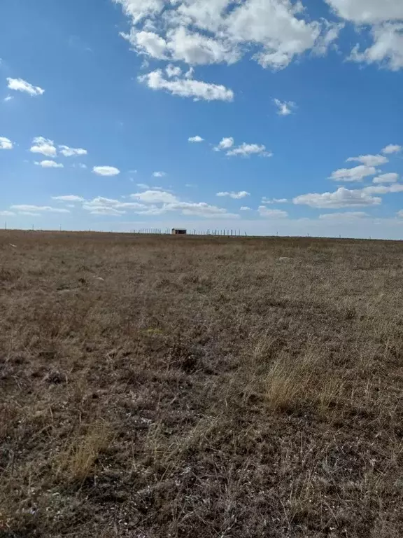Участок в Крым, Ленинский район, Калиновское с/пос  (6.5 сот.) - Фото 2