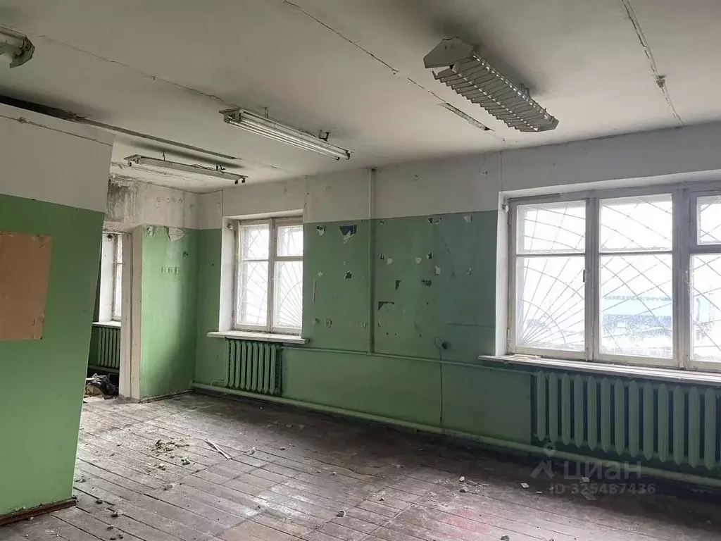 Помещение свободного назначения в Московская область, Орехово-Зуевский ... - Фото 1