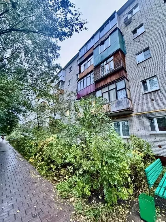 1-к кв. Московская область, Раменское ул. Кирова, 3 (23.0 м) - Фото 1