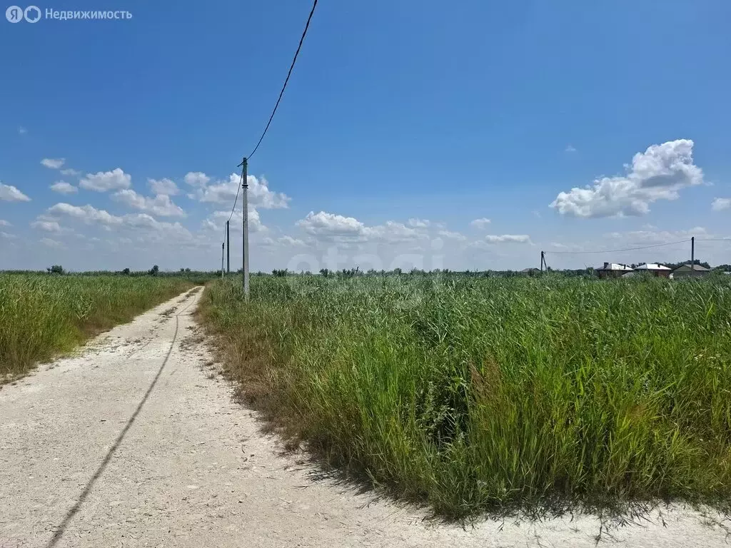Участок в Темрюк, Осенняя улица (5 м) - Фото 2