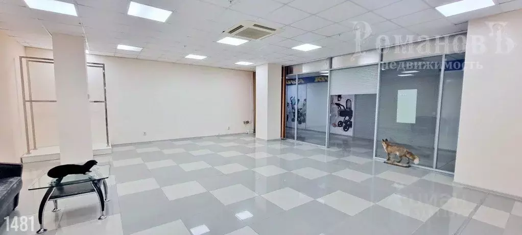 Помещение свободного назначения в Ставропольский край, Ставрополь ул. ... - Фото 1