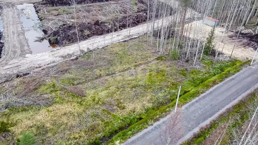 Участок в Ленинградская область, Всеволожск Щегловское Раздолье кп, 21 ... - Фото 1