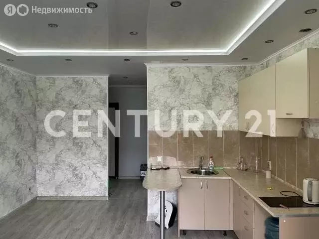 1-комнатная квартира: село Авиапорт, улица Кузьмина, 30 (26 м) - Фото 2