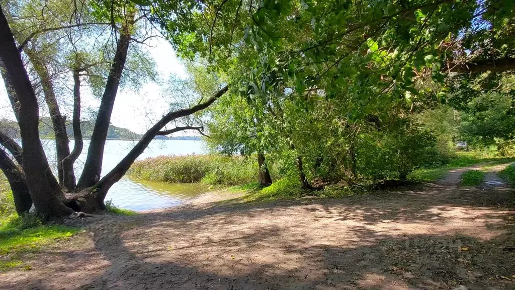 участок в московская область, солнечногорск городской округ, д. . - Фото 0