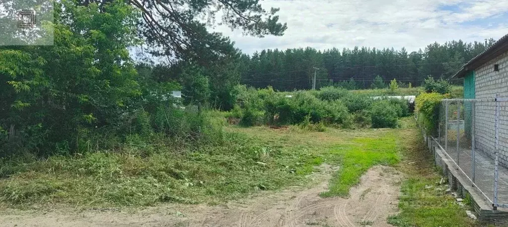 Участок в Алтайский край, Барнаул городской округ, Ползуново ст. ул. ... - Фото 0