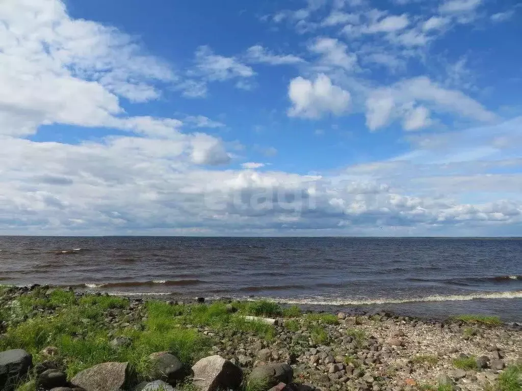 Участок в Вологодская область, д. Борисово (Борисовский сельсовет)  ... - Фото 1