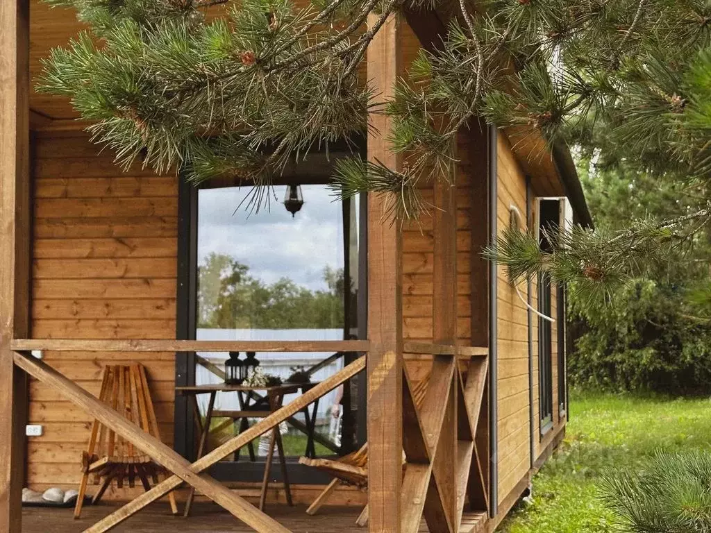 Дом в Самарская область, Красноярский район, Новый Буян с/пос, ... - Фото 2