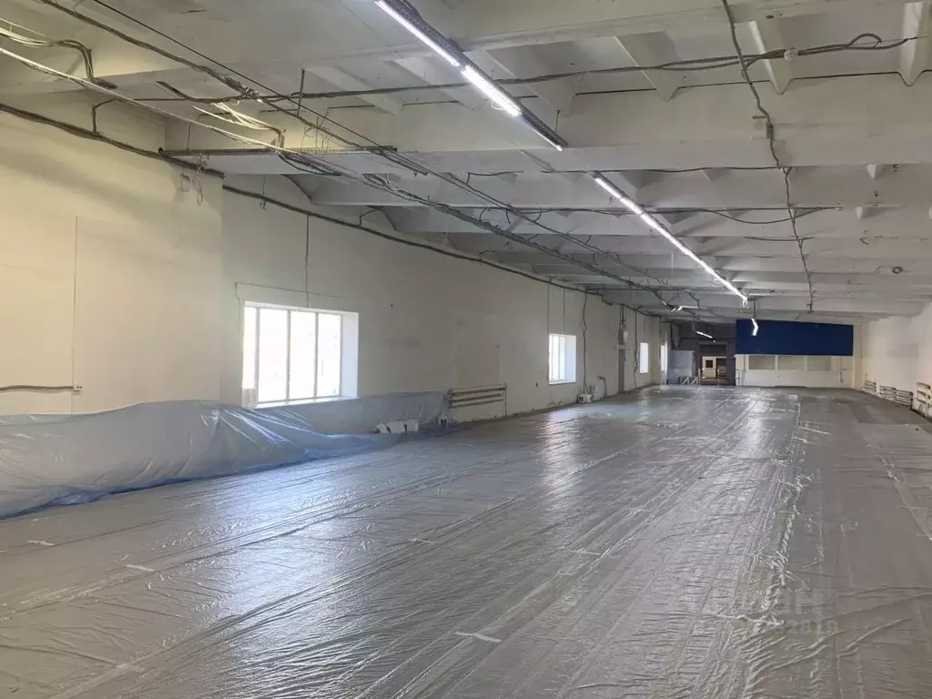 Помещение свободного назначения в Хабаровский край, Хабаровск просп. ... - Фото 2