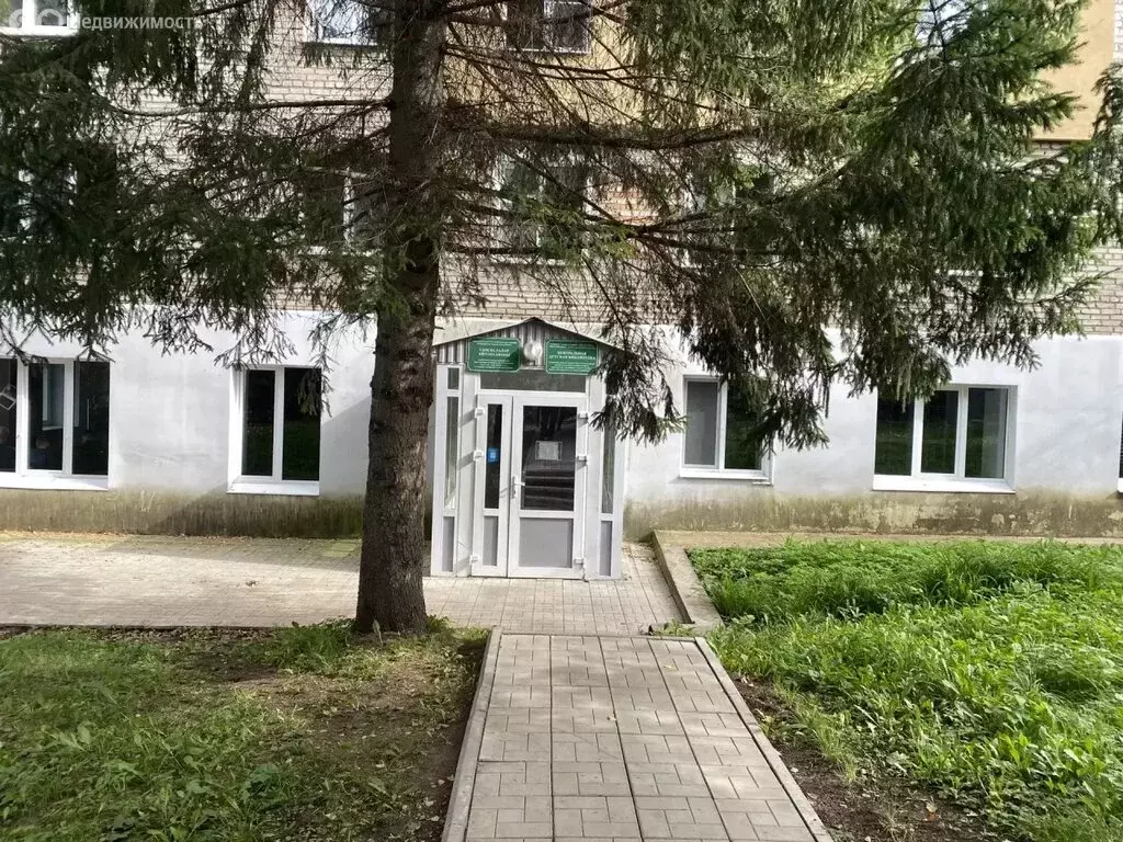 3-комнатная квартира: село Дмитриевка, Трактовая улица, 17 (60 м) - Фото 2