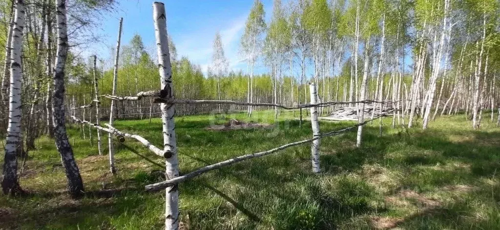 Участок в Калужская область, Калуга городской округ, д. Юрьевка  (15.0 ... - Фото 2