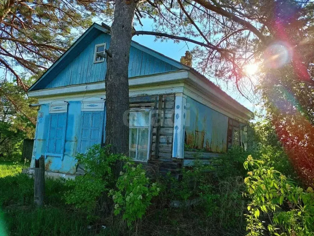 Дом в Амурская область, Благовещенский район, с. Гродеково Амурская ... - Фото 1