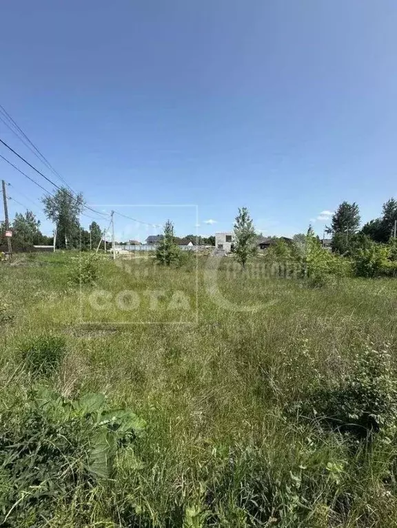 Участок в Воронежская область, с. Новая Усмань ул. Освобождения, 59А ... - Фото 1