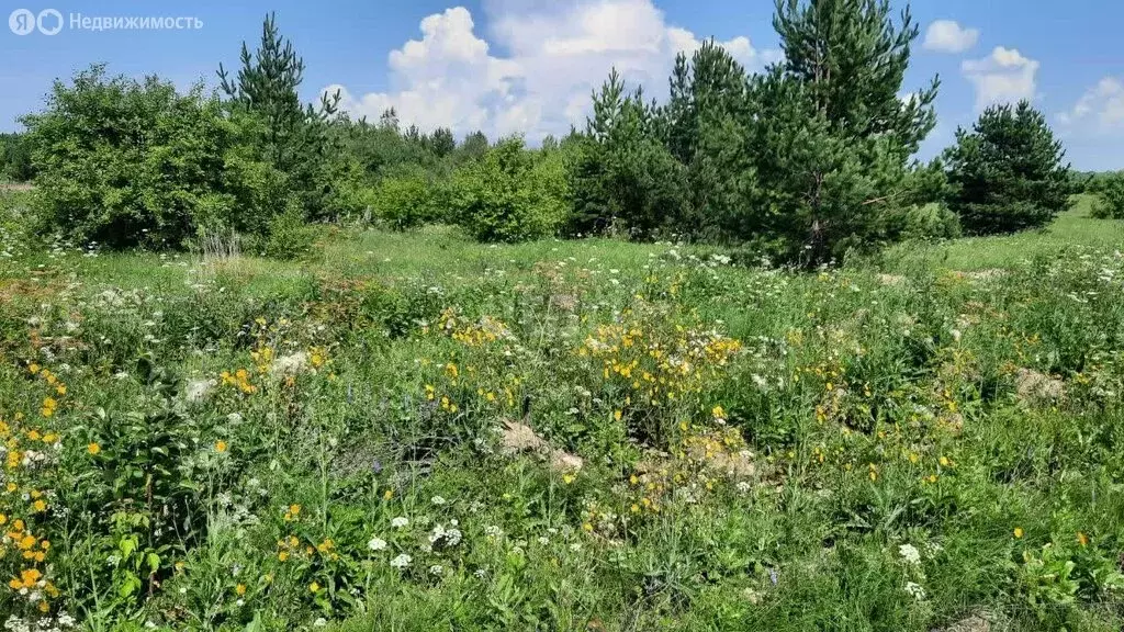 Участок в Свердловская область, Камышлов (10.1 м) - Фото 1