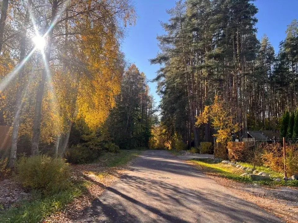 Участок в Санкт-Петербург, Санкт-Петербург, Зеленогорск Курортная ул., ... - Фото 1