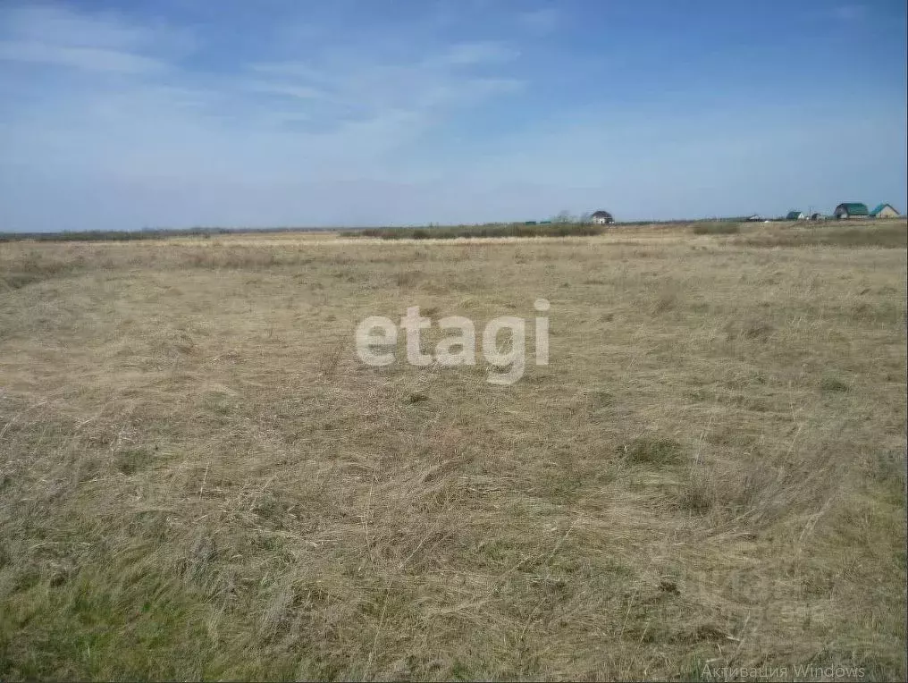 Участок в Курганская область, Кетовский муниципальный округ, Родные ... - Фото 1