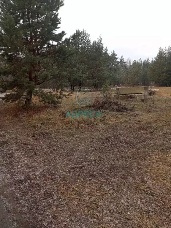 Участок в Белгородская область, Поселок Чернянка городское поселение, ... - Фото 0